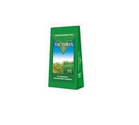 Césped renovador victoria 4 kg, mezcla de semillas, regeneración de