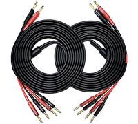 CESS-106-10f Banana Plug Splitter Cable para altavoz, 2 enchufes banana a 4 enchufes banana, calibre 12, 2 canales (10 pies)