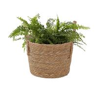 Cesta de jardinera tejida a mano, soporte de almacenamiento de paja, maceta tejida con asa de transporte, maceta de fibra natural, cesta decorativa de estilo rústico, accesorios de