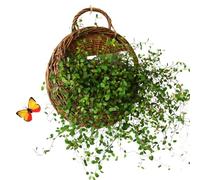 Cesta de pared tejida - Pro | Maceta de ratán - Cesta de pared tejida hecha a mano Maceta de ratán natural para jardín, hogar, boda, cocina y dormitorio, rendimiento estilo granja | 2026 profesional