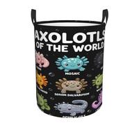 Cesta para la colada Axolotls Of The World, impermeable, independiente, plegable, organizador de ropa para baño, dormitorio, tamaño mediano