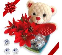 Cesti Natalizi 2022 - Baci Perugina Assortiti 100gr + Orsacchiotto "Occhi Dolci" + Piantina Stella di Natale Artificiale - Confezione Regalo (Baci Perugina)