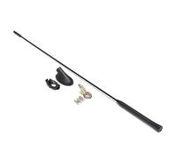 Cetfuro Am/FM Antena de Techo de Radio de Coche, MáStil + Kit de Base para Modelos Focus 2000-2007 XS8Z-18919-AA