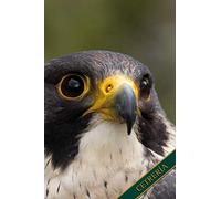 Cetrería: Halcón peregrino. Formato A5, 120 páginas, discretamente forrado en gris. Anotaciones diarias, notas y diario, cuaderno y colección de ideas ... cetrero, amigos de la naturaleza y las aves.