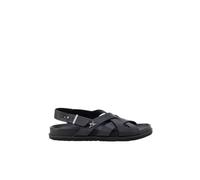 CETTI - 1412 42