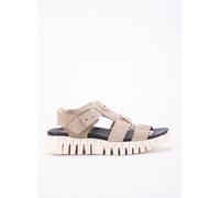 CETTI - 1416 37