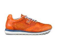 Cetti C848 V26 Ambar 46 EU