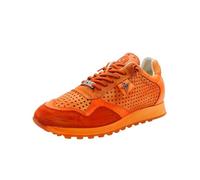 Cetti C848 V26 Ambar 46 EU