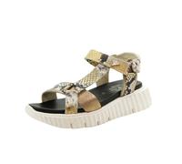 Cetti - Sandalia de pala,casual,cuña,cierre adhesivo,suela de goma con dibujos,piel,animal priint,serpiente para: Mujer color: CHAMPAGNE talla:39