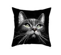 CEVAN Poliéster Funda Cojín Cama Funda Almohada Don Algodon El Gato Funda Cojín Coche Funda Almohada Piernas Dormir Negro Fundas para Cojines 50x50cm, 1Pcs