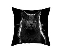 CEVAN Poliéster Funda Cojín Gigante Fundas Almohada El Gato Funda para Cojín Funda De Almohada Personalizada con Foto Negro Fundas para Cojines 45x45cm, 1Pcs
