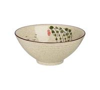 CEWROM Ramen Bowl Set 2 x 1000 ml Ceramic Ramen Bowl with Chopsticks and Spoons, Japanese Style Porcelain Tableware Soup Bowl Large Salad Bowl, Microwave and Dishwasher Safe (Colorido)