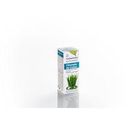Ceylan Citronela ESSENCE 15 ml