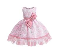 cfpqv Vestido de princesa sin mangas para niñas con malla floral tutú, vestido de fiesta de graduación, vestido de fiesta, cuello redondo, tul, mini vestido de 3 a 10, juego de acero inoxidable, Rosa