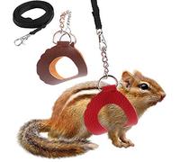 CFTGIW 2 Piezas SM SM Pet Valor de Arduas para Caminar Al Aire Libre y LE con Decoración para Accesorios de Gatito Harn LE Rata OTHE Outdoor Walking Real
