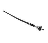 CFTGIW Antena Pasiva de Radio para Automóvil Goma Suave Hormiga Flexible La Antena Am FM para Automóvil de Señal Sólida Tiene un Rendimiento General Excesivo y una Gran Ventaja para