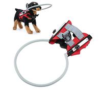 CFTGIW Blind Pet Halo Dispositivo de Arnés para Perros Ciegos de Colisión Reflectante y Transpirable para Cachorros y Gatos Rojo M Diámetro 33 Cm / 13 0 Pulgadas Will Feedback Pet PE Blind (S