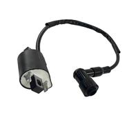 CGEAMDY Bobinas Encendido-Reemplazo, 2 Pin Bobina Encendido, 2 Pines Bobinas Encendido Bujías Reemplazo Motor, Bobinas Encendido Solenoide Reemplazo, Enchufe Bobina Encendidos Reemplazos Scooter Dirt