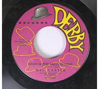 Chad & Jeremy 45 RPM I Have Dreamed / Should I