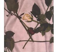 Chain Of Flowers - Cadwyn O Flodau (Clear Vinyl edition) [Vinilo]