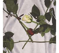Chain Of Flowers – Cadwyn O Flodau – Vinilo (edición transparente)