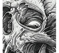 Chain Reaction(DVD付)