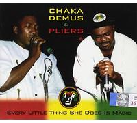 Chaka Demus - Every Little Thing She...