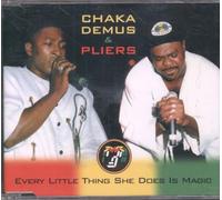 Chaka Demus & Pliers - Every Little Thing She...
