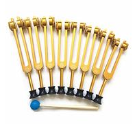 Chakra Tuning Forks Set, 7 Chakra + 1 FUTICA DE AJUSTE PESADA PUSADO PUSADO, (126.22 Hz, 136.1 Hz, 141.27 Hz, 172.06 Hz, 194.18 Hz, 210.42 Hz, 221.23Hz, 272.2Hz)