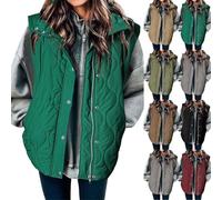 Chaleco acolchado con cremallera para mujer, cuello alto, sin mangas, acolchado, sin mangas, chaleco acolchado de gran tamaño, chalecos clásicos a la moda, chalecos lisos vintage, versátiles y