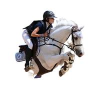 Chaleco Con Airbag for Moto Chaleco Airbag Ecuestre Chaqueta De Motociclista Protector De Espalda Adecuado for Niños, Mujeres, Equipo Ecuestre for Hombres. (3XS-2XL) ( Color : Black , Size : XS )