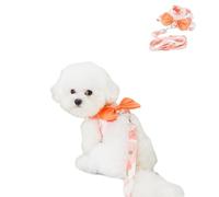 Chaleco de arnés para perro pequeño con correa, juego de arnés con lazo para mascotas, chaleco tutú con estampado de flores de verano, trajes para gatos y cachorros para caminar al aire libre, XL