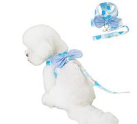 Chaleco de arnés para perro pequeño con correa, juego de correa de arnés con lazo para mascotas, chaleco tutú con estampado de flores de verano, trajes para gatos y cachorros para caminar al aire