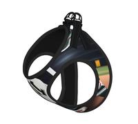 Chaleco de béisbol y guantes con correa para mascotas, suave, ajustable, para caminar, al aire libre, con correa