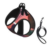 Chaleco de correa para mascotas con estampado de atardecer del desierto, para perros pequeños, ajustable y cómodo, esencial para gatos y cachorros