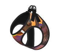 Chaleco de correa para mascotas con estampado de atardeceres del desierto, para perros pequeños, ajustable y cómodo, esencial para gatos y cachorros