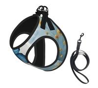Chaleco de correa para mascotas con estampado de mariposas y nubes, para perros pequeños, ajustable y cómodo, esencial para gatos y cachorros
