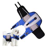 Chaleco de natación para perros - Chaleco de rescate para perros de tamaño pequeño - Bandas reflectantes y flotabilidad para kayak, piscina, playa, lago y barco