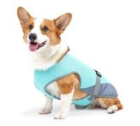Chaleco de refrigeración para caninos, del calor para aventuras de verano, tela de malla de poliéster con tecnología evaporativa, cobertura de escudo UV, diseño de hebilla ajustable, caminar al