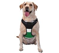 Chaleco de tracción para mascotas con estampado de bandera del Estado de Palestina, ideal para pasear perros, senderismo, viajes diarios