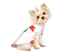 Chaleco ligero para perro con estampado de mapa de la bandera del Líbano, camisa sin mangas, diseño de malla transpirable para caminar y jugar en verano