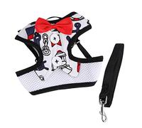 Chaleco para Perro con Lazo, Chaqueta para Exteriores, Gatito, Vestido para Perro pequeño, Juguetes inflables para Piscina, Animal PEQUEÑO, Mascota para Perros medianos, Perros pequeños O
