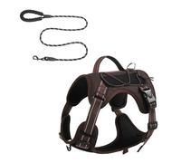 Chaleco para perros, arnés de cable, conjunto de correas para entrenamiento para correr y nadar para perros pequeños a grandes, arnés reflectante