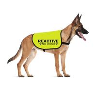 Chaleco reactivo para perro con texto en inglés "Do Not Pet Reactive No Dogs Service" (NO DOGS Reactive L EU)