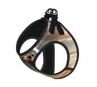 Chaleco reflectante ajustable de malla suave transpirable para paseos diarios con estampado de camello y arena del desierto