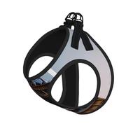 Chaleco reflectante ajustable de malla suave transpirable para paseos diarios con estampado de la Torre Eiffel de París