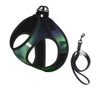 Chaleco reflectante con correa para mascotas con estampado de luces del norte oscuro para perros y gatos pequeños, chaleco ajustable para caminar al aire libre