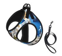 Chaleco reflectante con correa para mascotas con estampado de vista al mar de la isla griega para perros y gatos pequeños, chaleco ajustable para caminar al aire libre