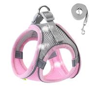 Chaleco reflectante para perros pequeños, chaleco reflectante | Pet Apparel for Night Walking, All Weather Breathable Dog Harness, Safety Small Medium Dogs