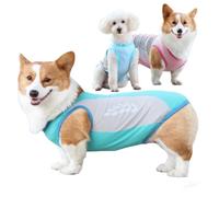 Chaleco Refrescante para Perros, Camiseta Transpirable de Verano con Protección Solar, Ajuste Corgi Caniche Bulldog Francés y Razas Pequeñas Medianas (Color-1,L)